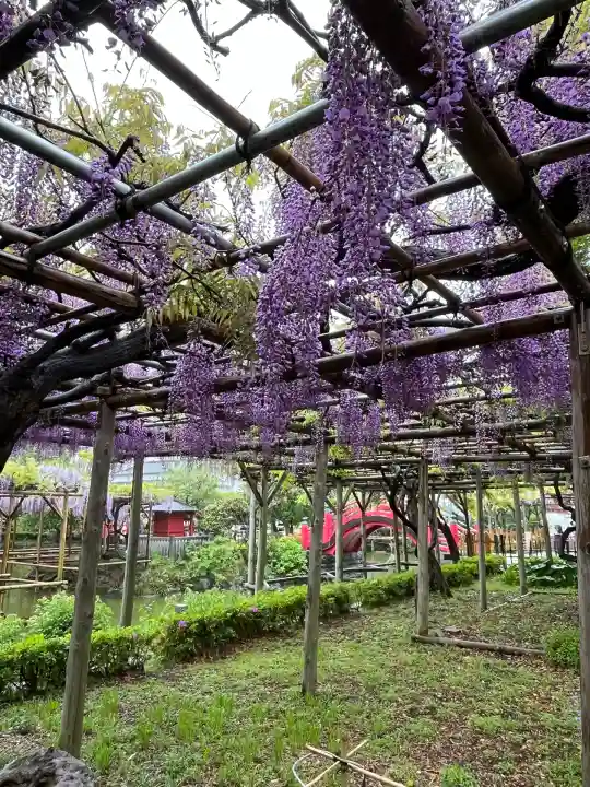 亀戸天神社(東京都)