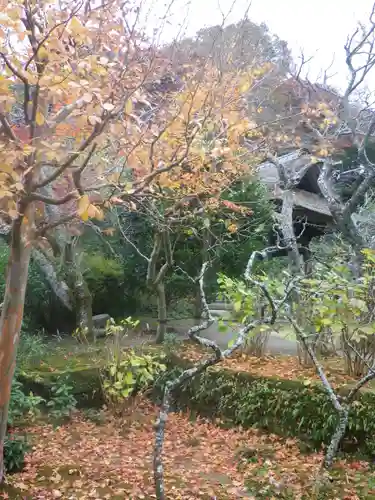 東慶寺の自然