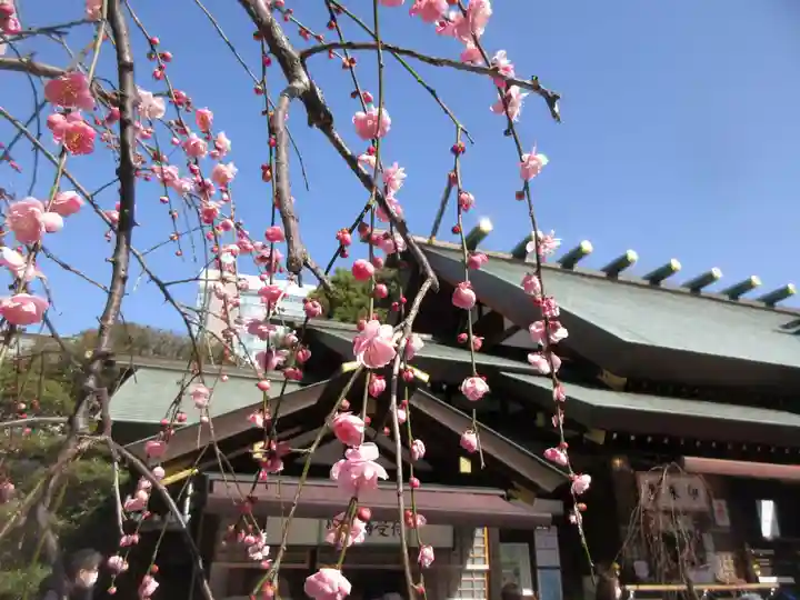 東京大神宮(東京都)