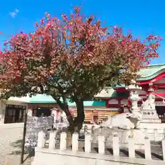 上野天満宮(愛知県)