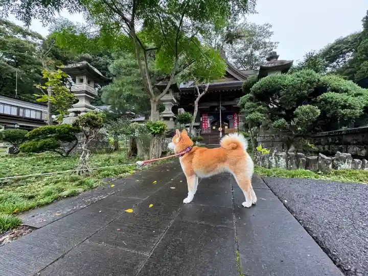 三光寺の{uncategorized: "未分類", other: "その他", undefined: "問題あり", building: "その他建物", grave: "お墓", sacred_gate: "鳥居", guardian: "狛犬", statue: "像", buddha: "仏像", history: "歴史", nature: "自然", garden: "庭園", animal: "動物", pagoda: "塔", temizu: "手水舎", mountain_gate: "山門・神門", sanctuary: "本殿・本堂", subordinate: "末社・摂社", art: "芸術", scenery: "景色", jizo: "地蔵", ema: "絵馬", goshuin: "御朱印", omikuji: "おみくじ", items: "授与品その他", amulet: "お守り", goshuincho: "御朱印帳", eats: "食事", festival: "お祭り", votive_dance: "神楽", shichigosan: "七五三参", wedding: "結婚式", experience: "体験その他", initially: "初詣", around: "周辺", anti_infection: "感染症対策"}