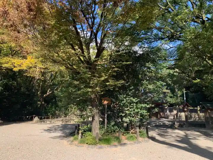 上知我麻神社(熱田神宮摂社)の自然