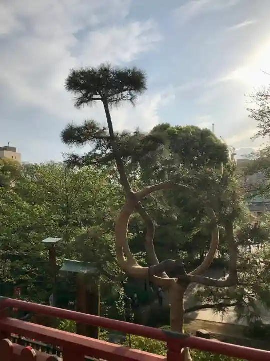 清水観音堂(東京都)