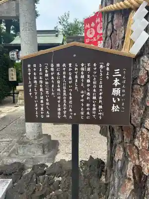 中野沼袋氷川神社(東京都)
