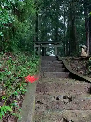 三社神社(千葉県)