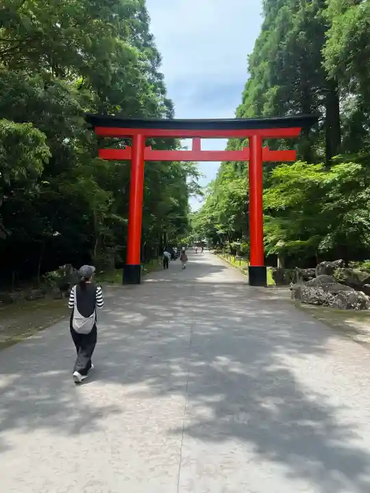 霧島神宮の{uncategorized: "未分類", other: "その他", undefined: "問題あり", building: "その他建物", grave: "お墓", sacred_gate: "鳥居", guardian: "狛犬", statue: "像", buddha: "仏像", history: "歴史", nature: "自然", garden: "庭園", animal: "動物", pagoda: "塔", temizu: "手水舎", mountain_gate: "山門・神門", sanctuary: "本殿・本堂", subordinate: "末社・摂社", art: "芸術", scenery: "景色", jizo: "地蔵", ema: "絵馬", goshuin: "御朱印", omikuji: "おみくじ", items: "授与品その他", amulet: "お守り", goshuincho: "御朱印帳", eats: "食事", festival: "お祭り", votive_dance: "神楽", shichigosan: "七五三参", wedding: "結婚式", experience: "体験その他", initially: "初詣", around: "周辺", anti_infection: "感染症対策"}