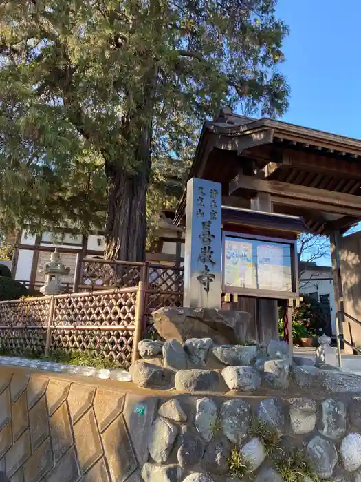 善教寺の山門