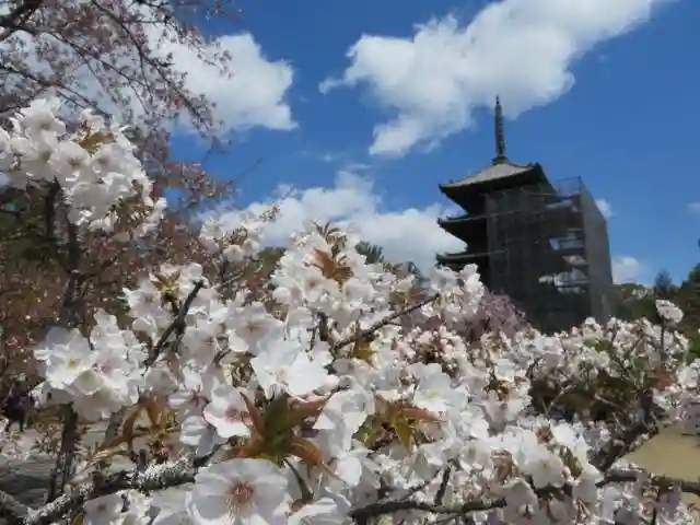 仁和寺(京都府)
