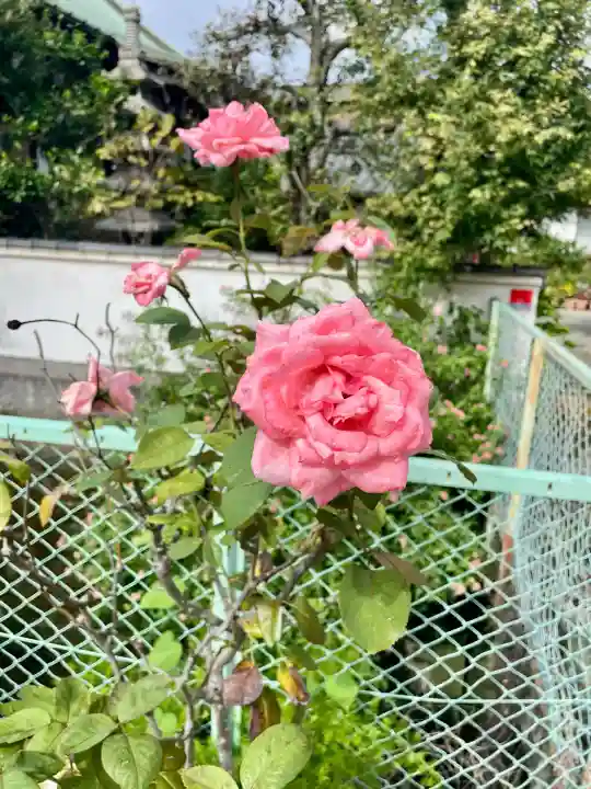 大長院(神奈川県)