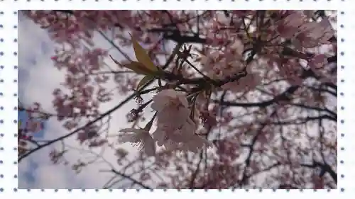 密藏院(埼玉県)