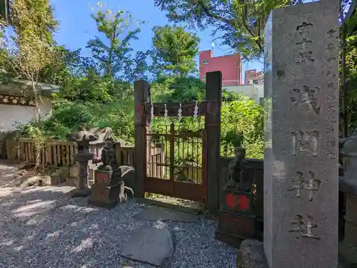 小野照崎神社の自然