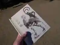 龍泉寺(足利厄除大師)の御朱印帳