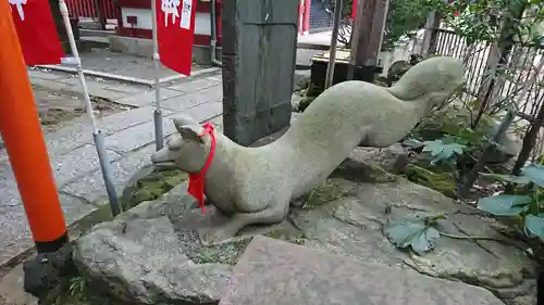 水稲荷神社の狛犬