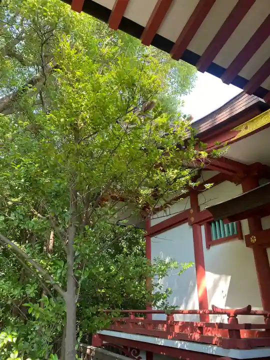 稲毛浅間神社(千葉県)