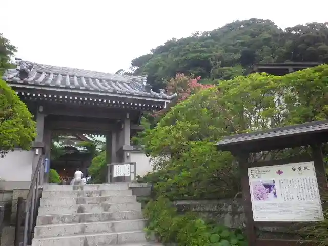 安養院 (田代寺)(神奈川県)