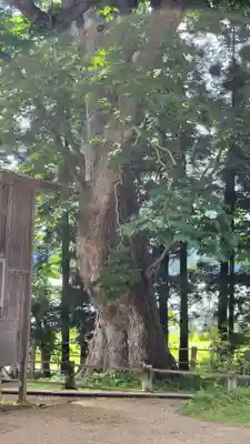 光清寺(山形県)