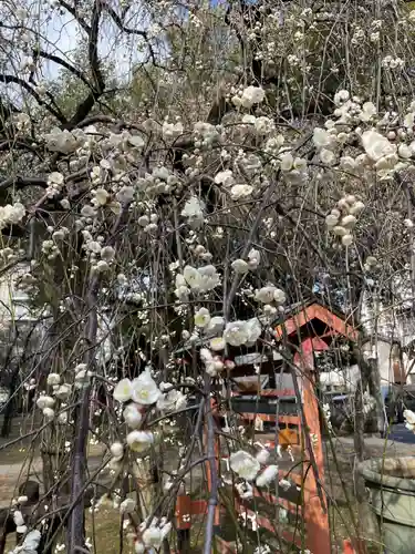 川口神社(埼玉県)