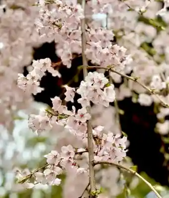 榴岡天満宮の{uncategorized: "未分類", other: "その他", undefined: "問題あり", building: "その他建物", grave: "お墓", sacred_gate: "鳥居", guardian: "狛犬", statue: "像", buddha: "仏像", history: "歴史", nature: "自然", garden: "庭園", animal: "動物", pagoda: "塔", temizu: "手水舎", mountain_gate: "山門・神門", sanctuary: "本殿・本堂", subordinate: "末社・摂社", art: "芸術", scenery: "景色", jizo: "地蔵", ema: "絵馬", goshuin: "御朱印", omikuji: "おみくじ", items: "授与品その他", amulet: "お守り", goshuincho: "御朱印帳", eats: "食事", festival: "お祭り", votive_dance: "神楽", shichigosan: "七五三参", wedding: "結婚式", experience: "体験その他", initially: "初詣", around: "周辺", anti_infection: "感染症対策"}