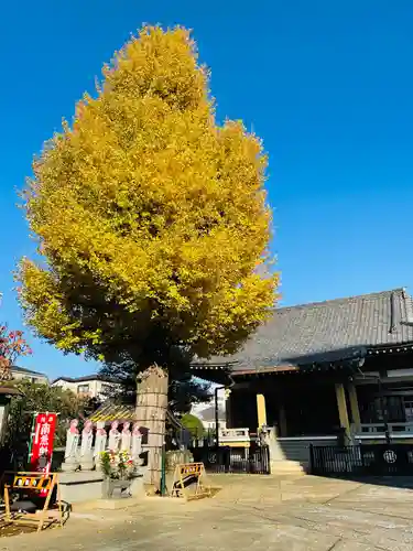 福王山  慈眼寺の本殿・本堂