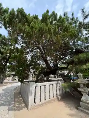 高砂神社のその他建物