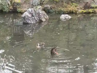 金地院(京都府)