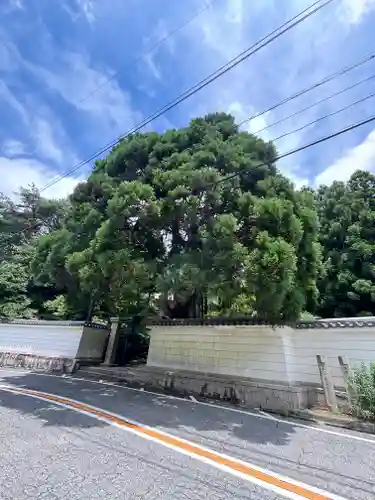 忉利天上寺の建物その他