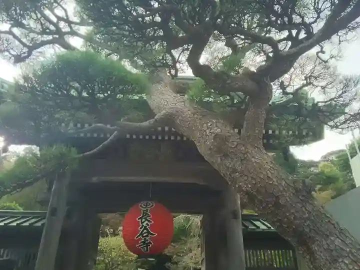 長谷寺の山門・神門