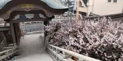 湯島天満宮(東京都)