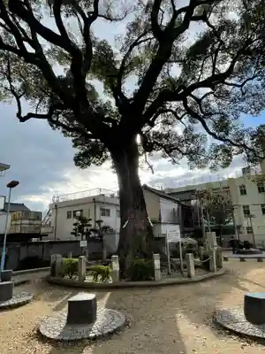 霰松原神社(大阪府)