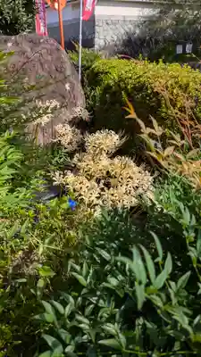 和泉寺(京都府)