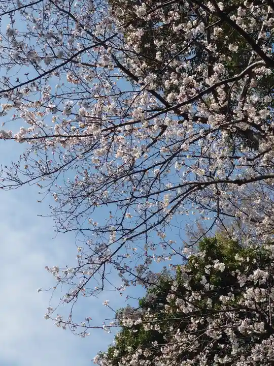 倉見神社(神奈川県)