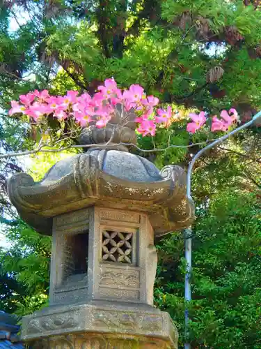 白山神社の建物その他