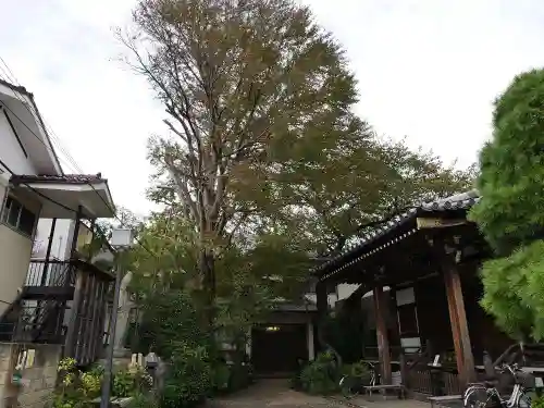 自性院のその他建物