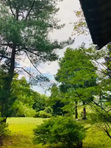 龍蔵寺の庭園