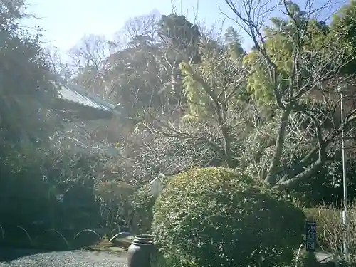 英勝寺の庭園