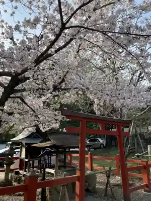 氷室神社(奈良県)
