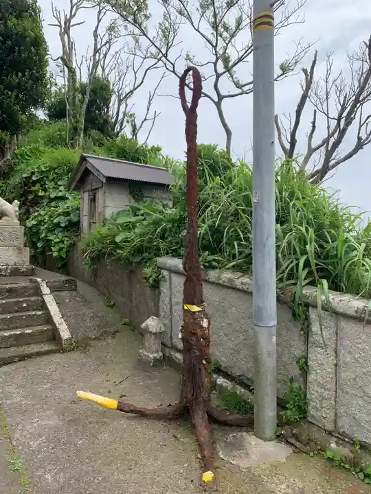 八幡神社(千葉県)