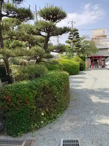 蓮光寺の庭園