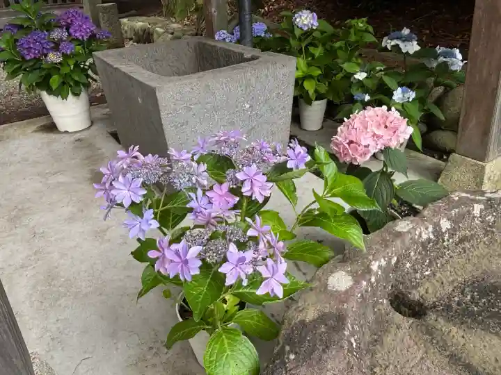 吾妻神社(群馬県)