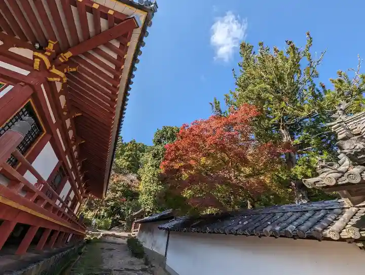矢田寺(奈良県)