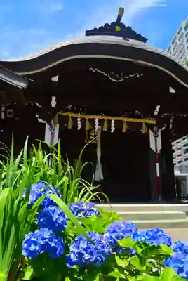 磐井神社(東京都)