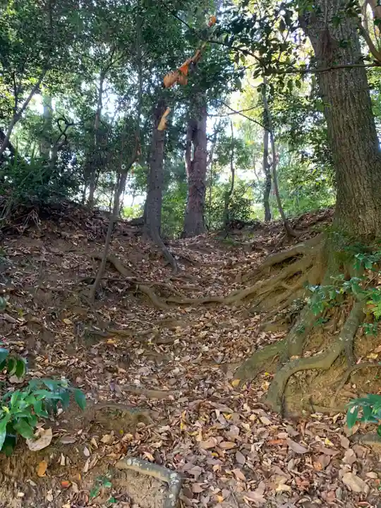 浅間神社の周辺