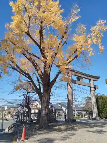 豊国神社(京都府)