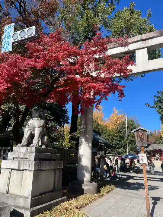 秩父神社(埼玉県)