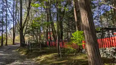 園山稲荷神社(滋賀県)
