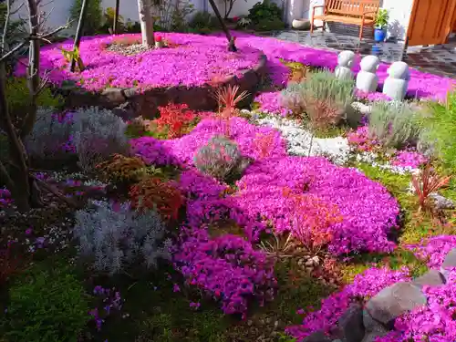 寿量山　速成寺(奈良県)