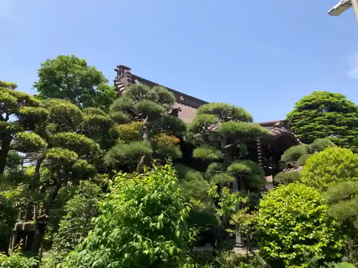 大巧寺(神奈川県)