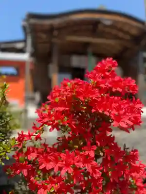 崇道天皇社(奈良県)