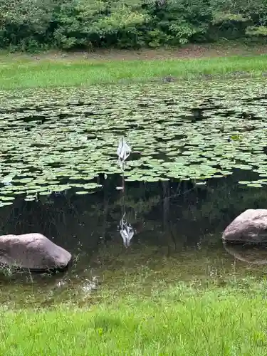 みそぎ御殿(宮崎県)