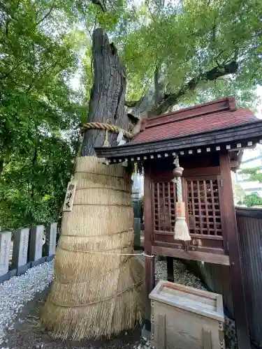 堀越神社(大阪府)